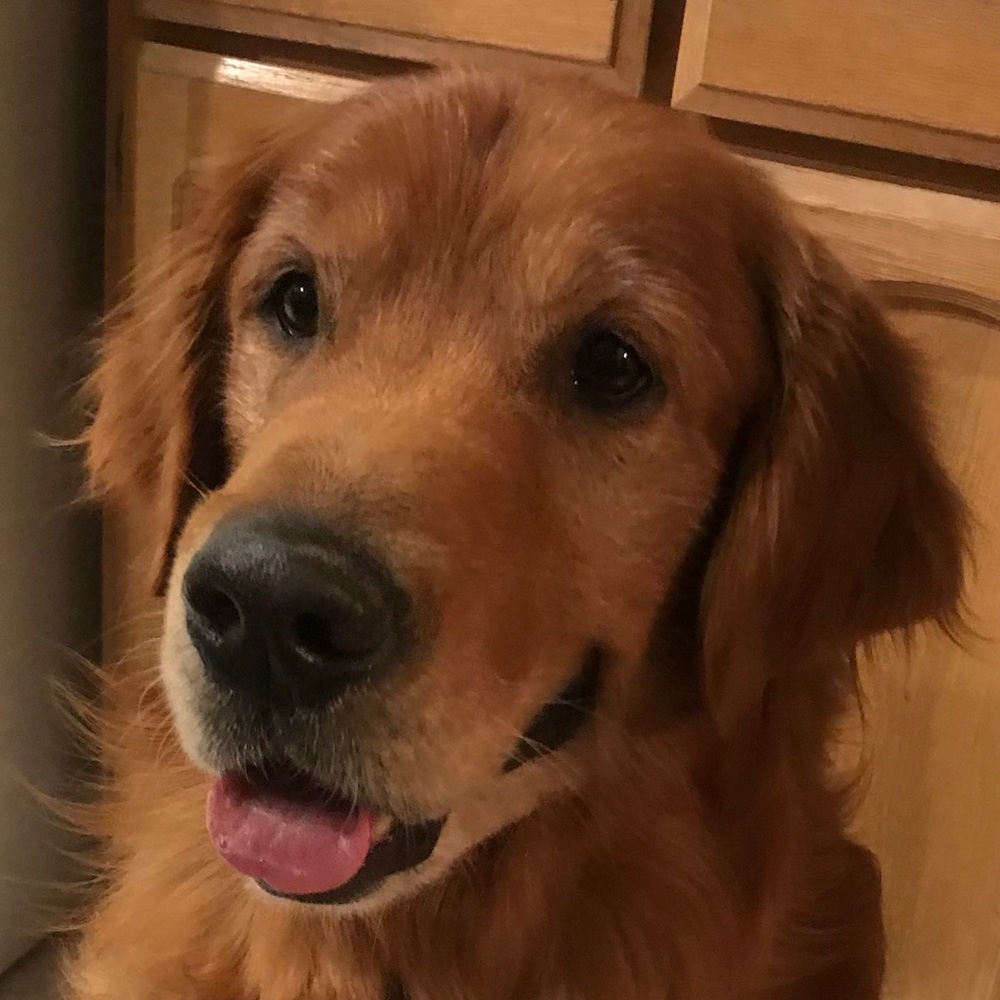 Meet your Posher, Nathalie